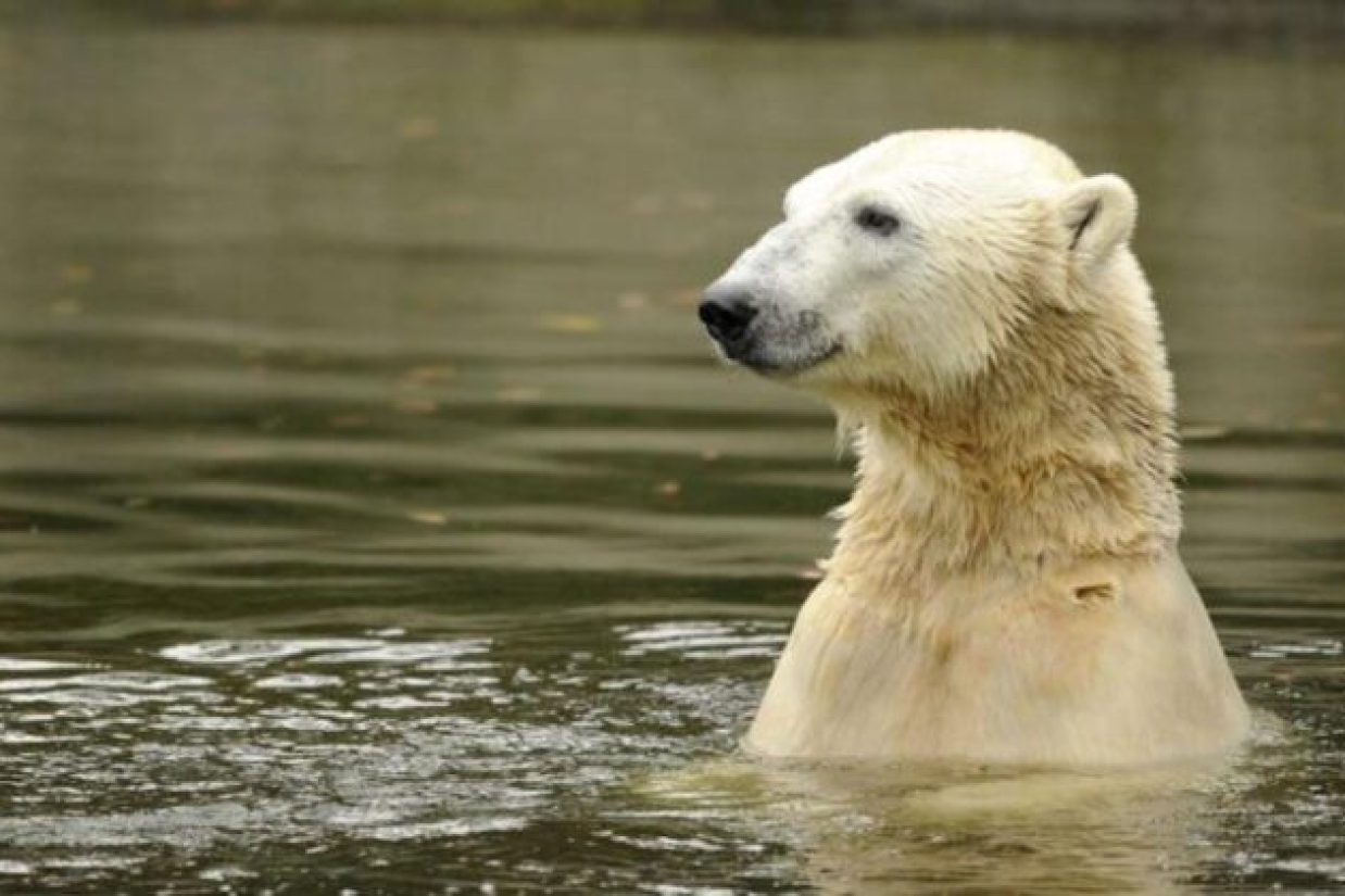 (Odd Andersen/AFP/Getty Images)