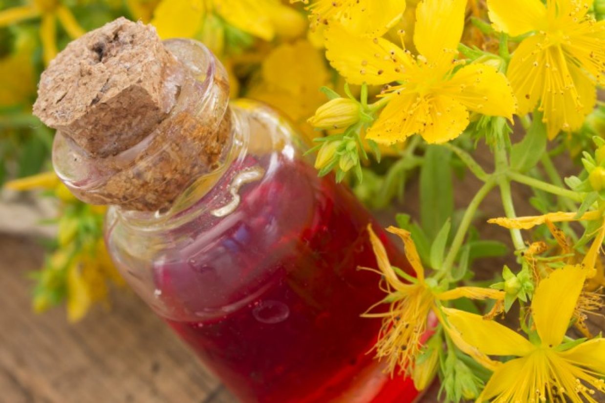 چای کوهی