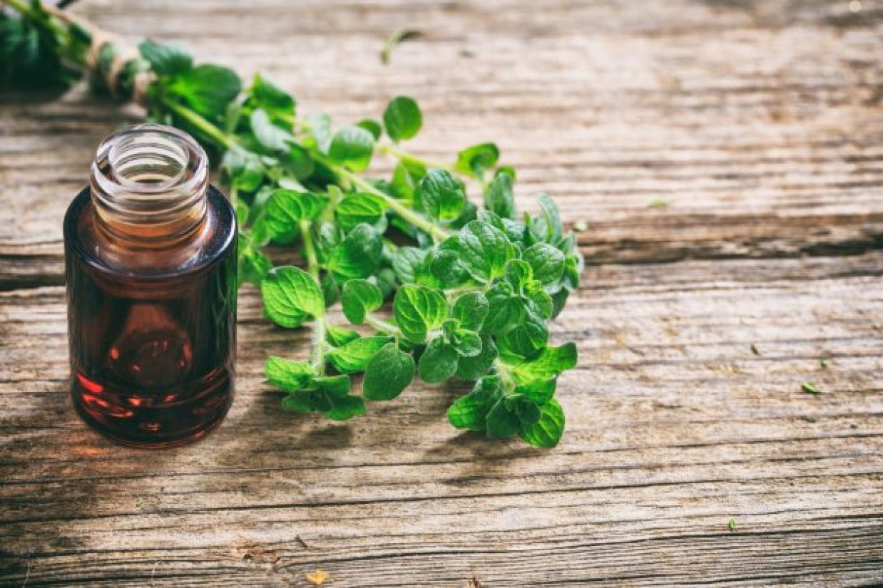 چرا در فصل سرماخوردگی و آنفلوانزا، به روغن آویشن نیاز دارید؟