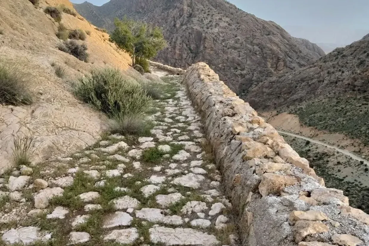 در پی طوفان‌های اخیر در شهرستان فهرج کرمان، بخش تازه‌ای از جاده تاریخی ادویه ـ که برخی آن را مهم‌تر از جاده ابریشم می‌دانند ـ از زیر شن‌های کویر بیرون آمد.