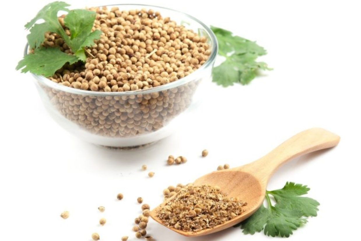 خواص درمانی برگ و تخم گشنیز