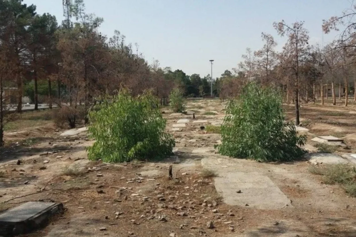 مای ساتو، گزارشگر ویژه سازمان ملل در امور اعدام‌های فراقضایی، همراه با گروهی از کارشناسان این سازمان، تخریب قطعه‌ ۴۱ بهشت‌زهرا در تهران را محکوم کرد.