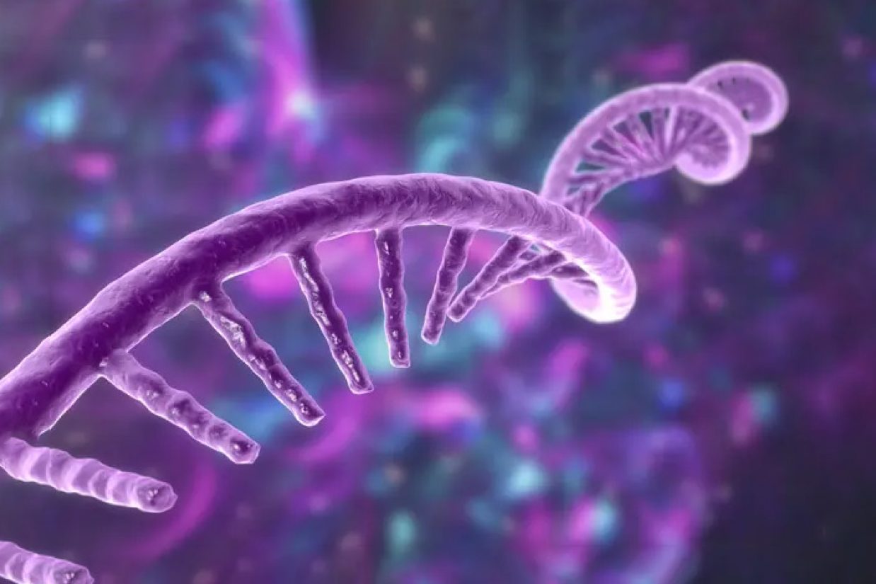 واکسیناسیون میگوهای خوراکی بر پایه تکنولوژی mRNA
